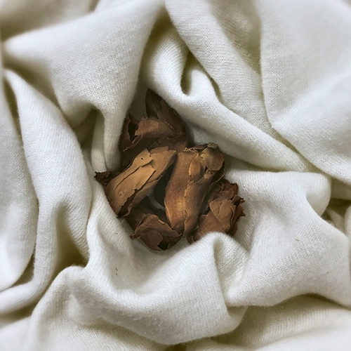 [HERBAL TEA] 목련차 (잎차)